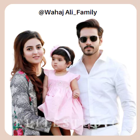 Wahaj Ali Biography, Wikipedia, Age, Family, Wife, Contact, Education ...